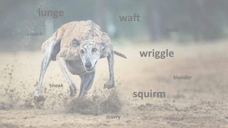 Verbs of Movement - Prospero English